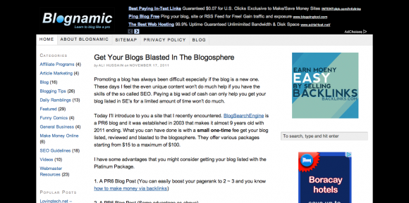 Blog Like A Pro