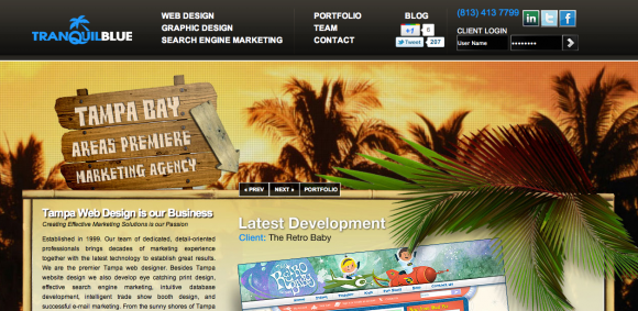 Tampa Web Designer