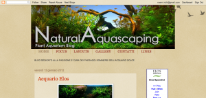 Natural Aquascaping - Planted Aquarium Blog